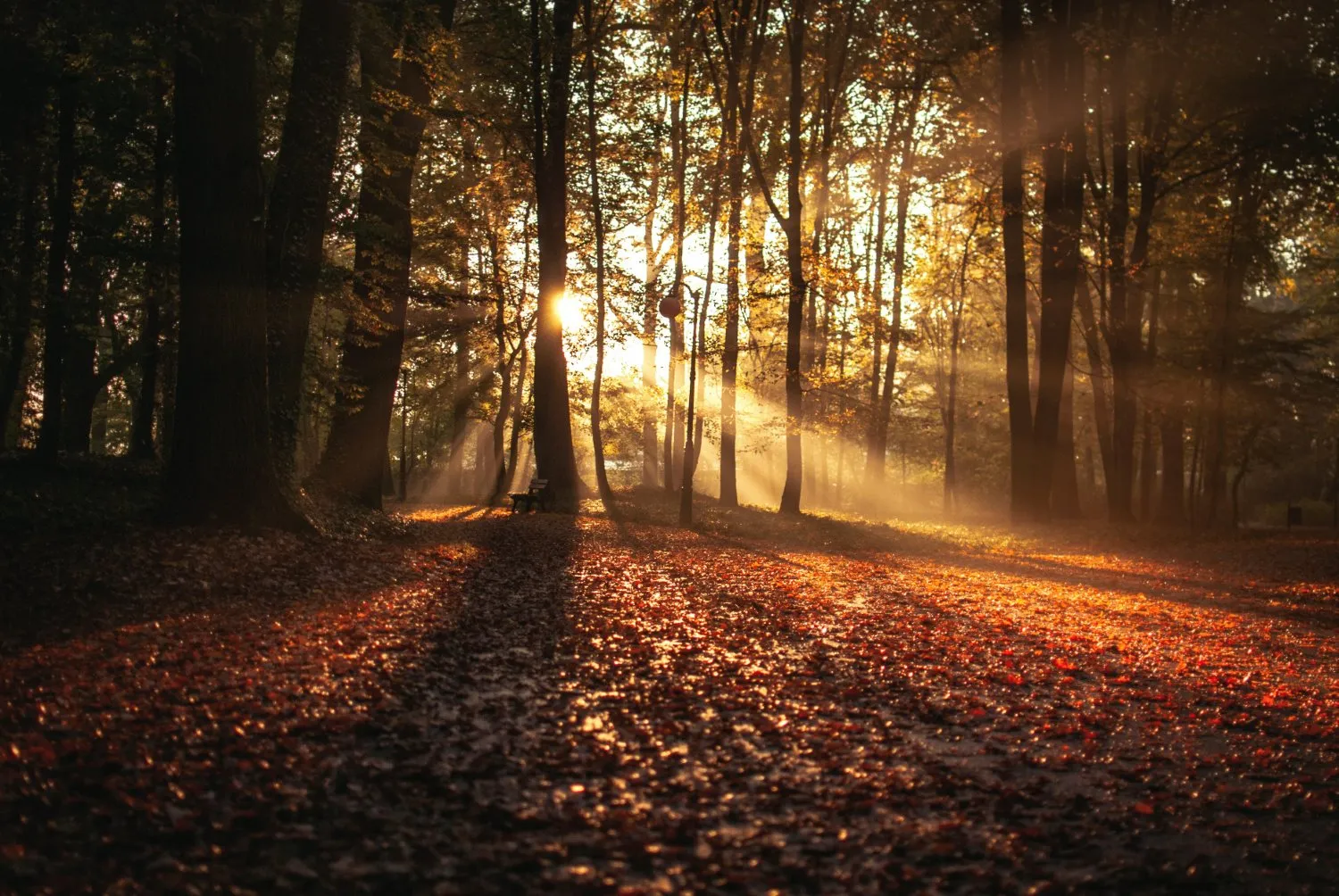 Your Guide to Nailing Fall Landscape Photography